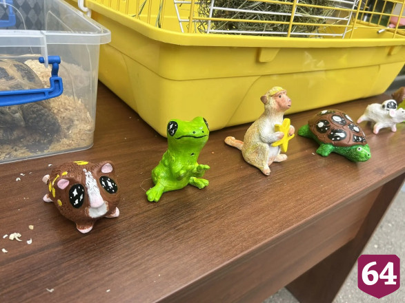 Саратовцам в День эколога дарили букеты из лекарственных трав 